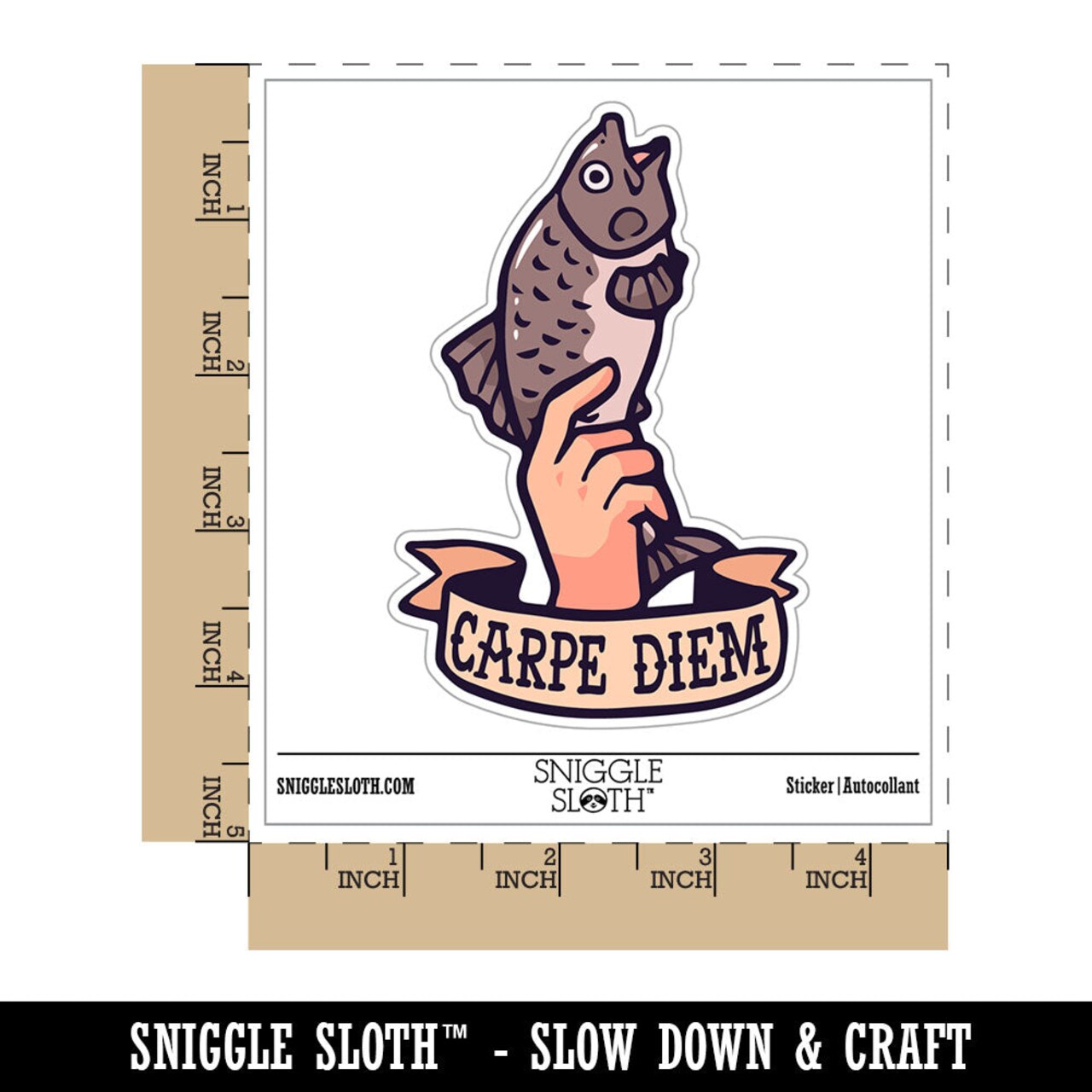 Water Bottle Sticker Set Carpe Diem Funny Hand Holding Fish Carp Cute Waterproof Vinyl Stickers Pack Decal, Skateboard, Laptop, Car, Window, Bumper - 5 Pack